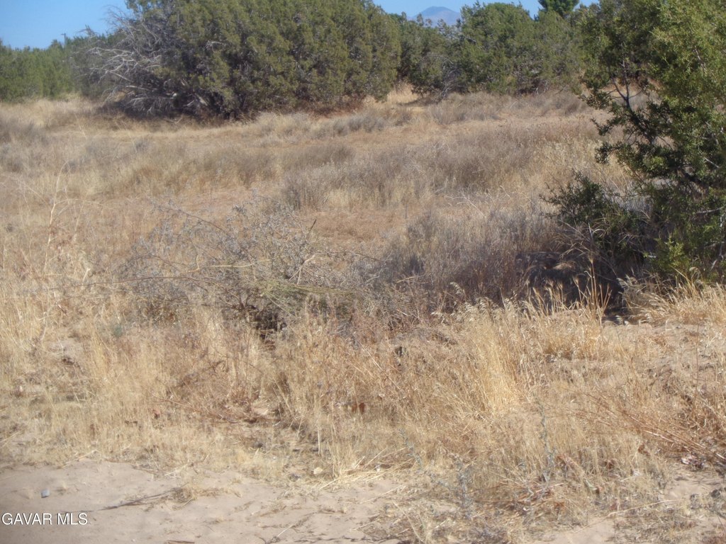 Picture 15