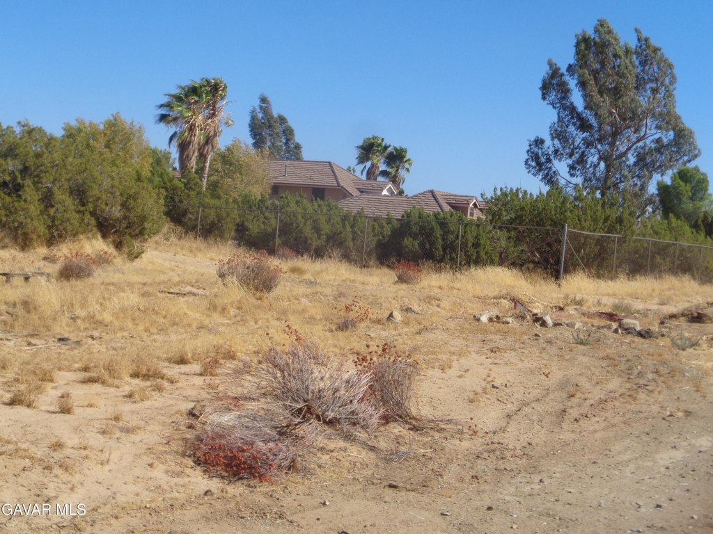 Picture 25