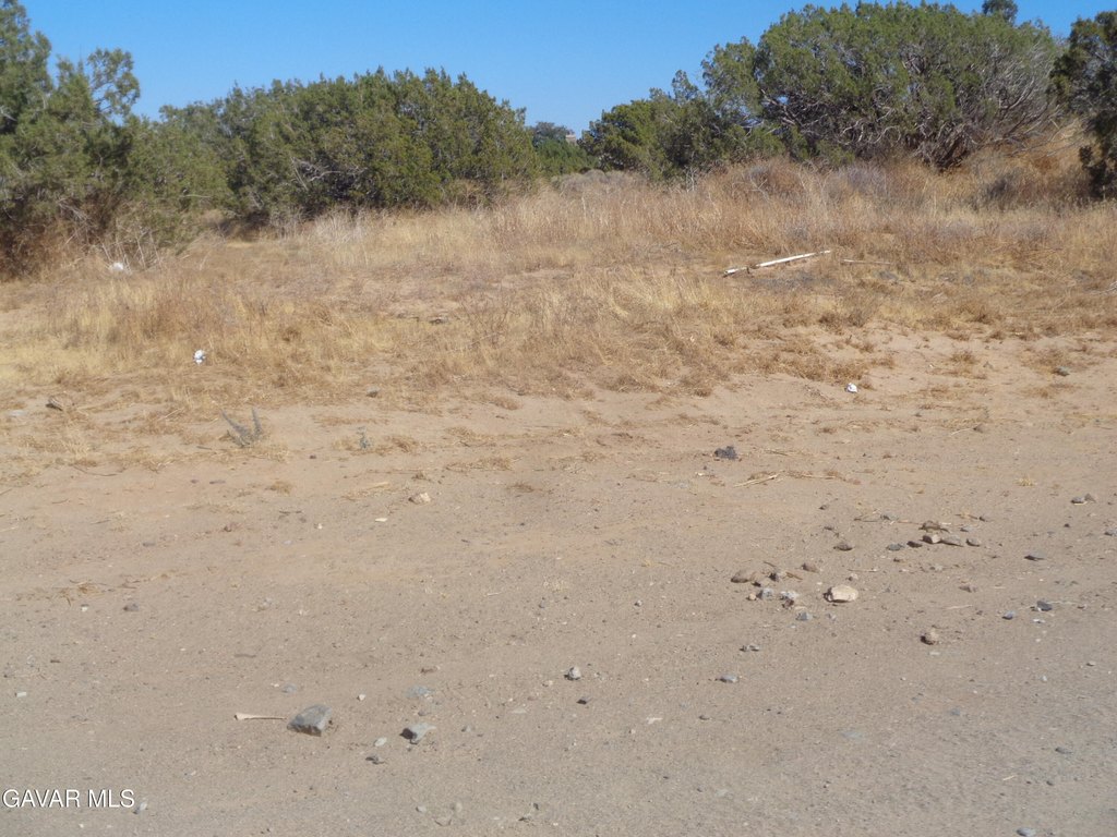 Picture 24