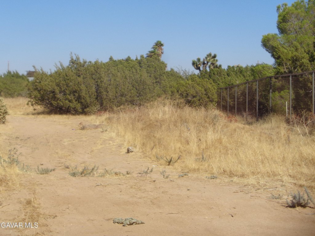 Picture 26