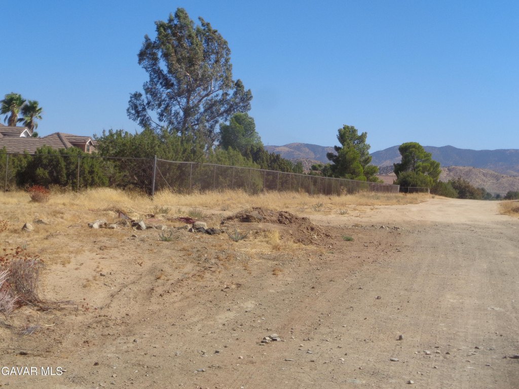 Picture 27