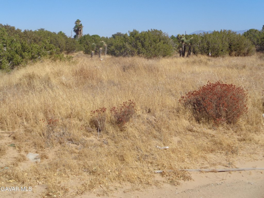 Picture 8
