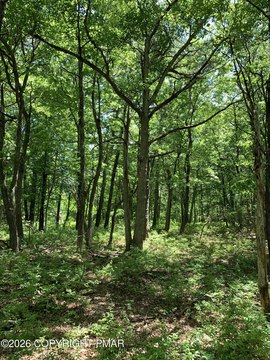 Land, Dingmans Ferry, PA