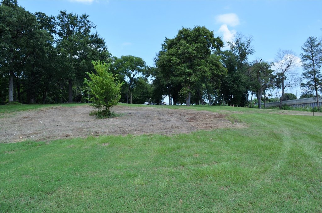 Picture 14