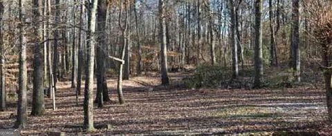 Hoschton Commercial-Industrial Land Available