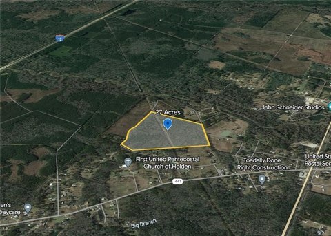 Land, Holden, LA