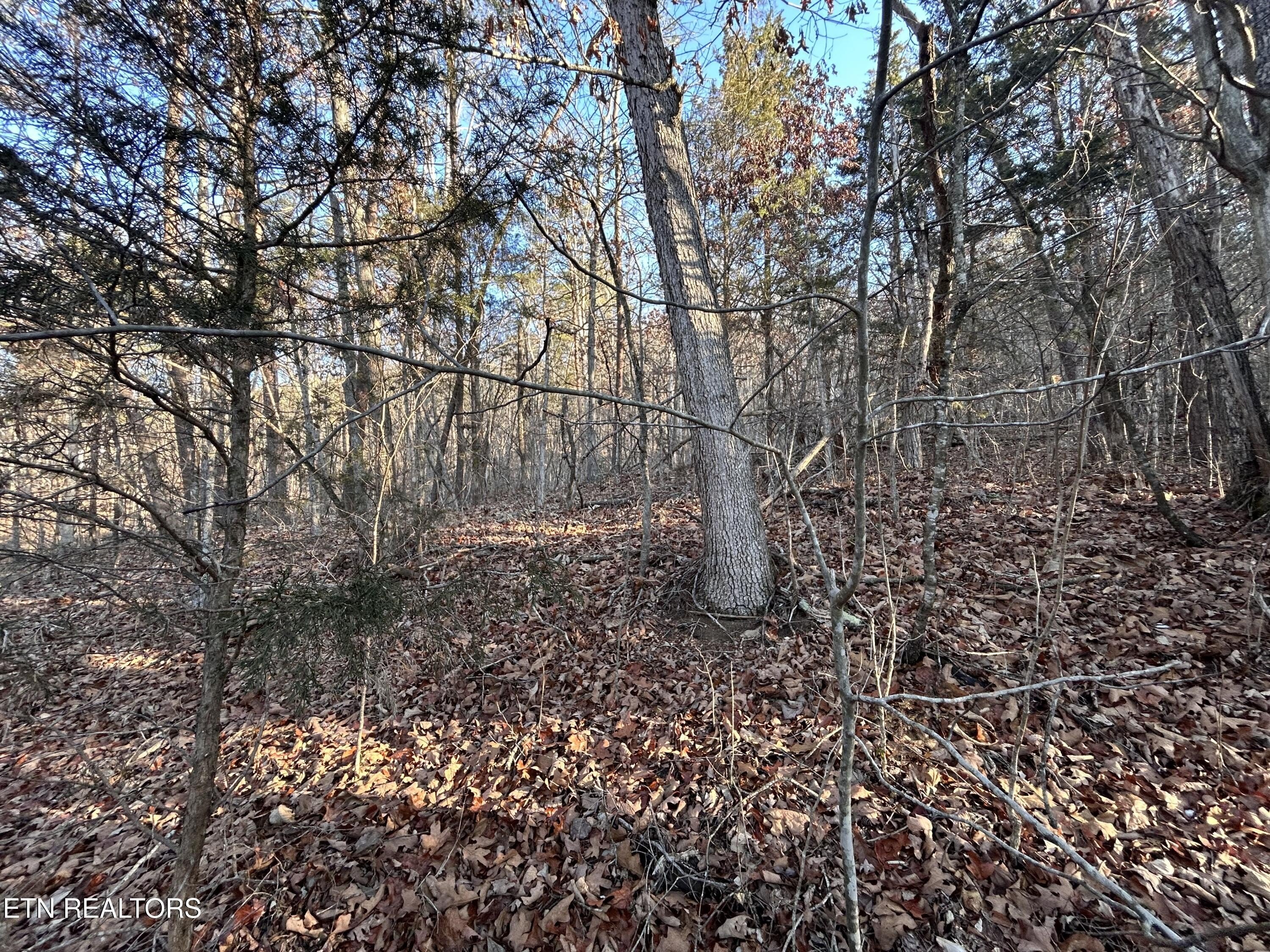 Land in Talbott, Tennessee