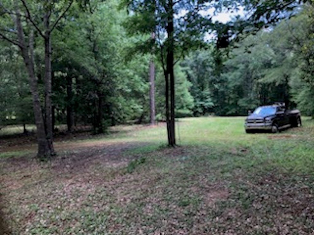 Picture 6