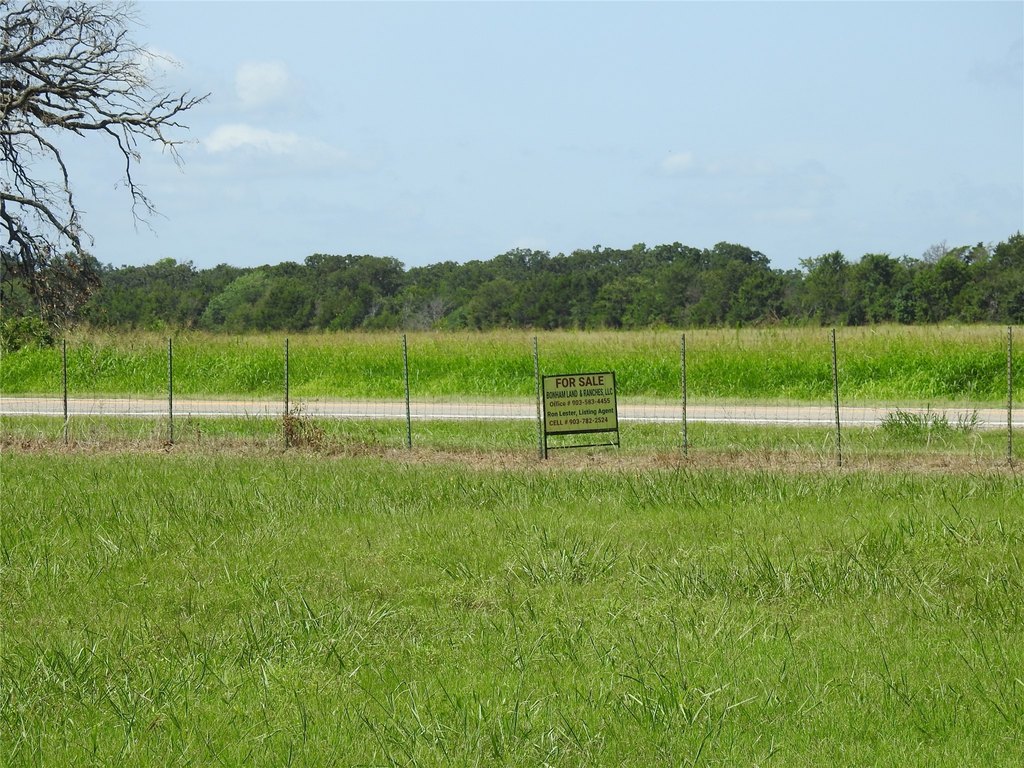Picture 18