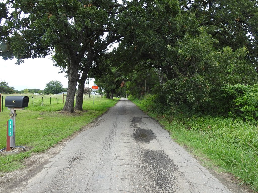 Picture 14