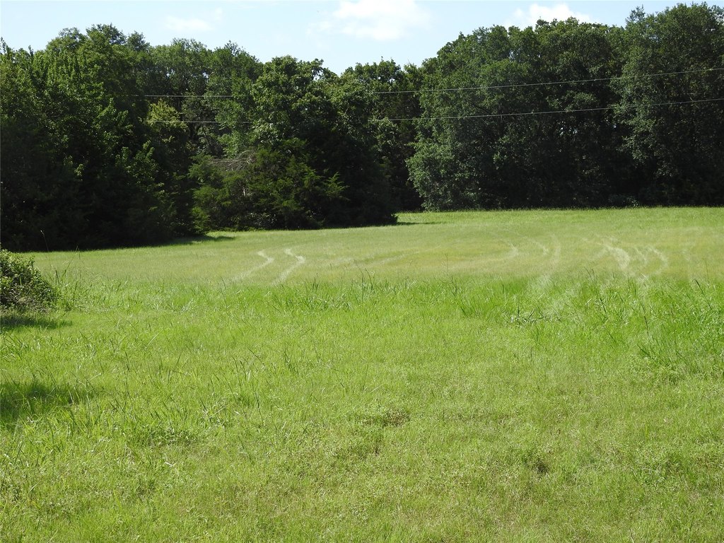 Picture 9