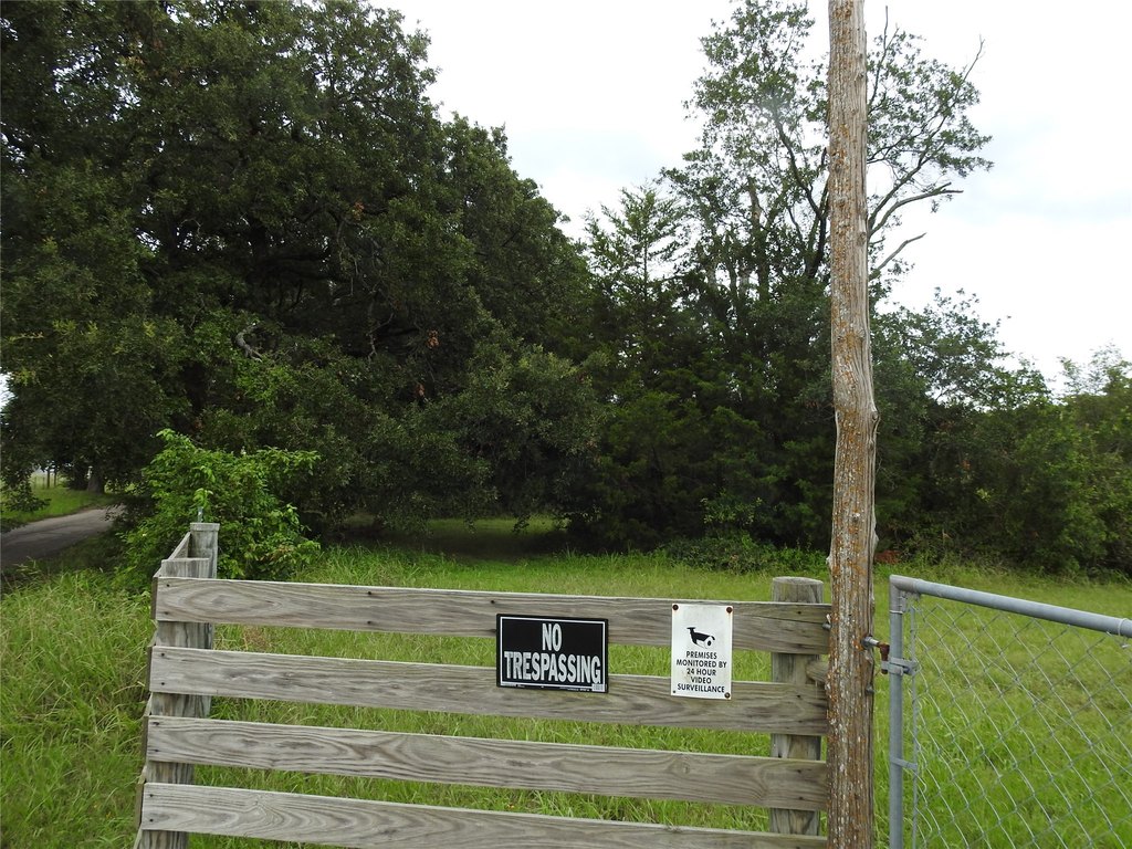 Picture 13