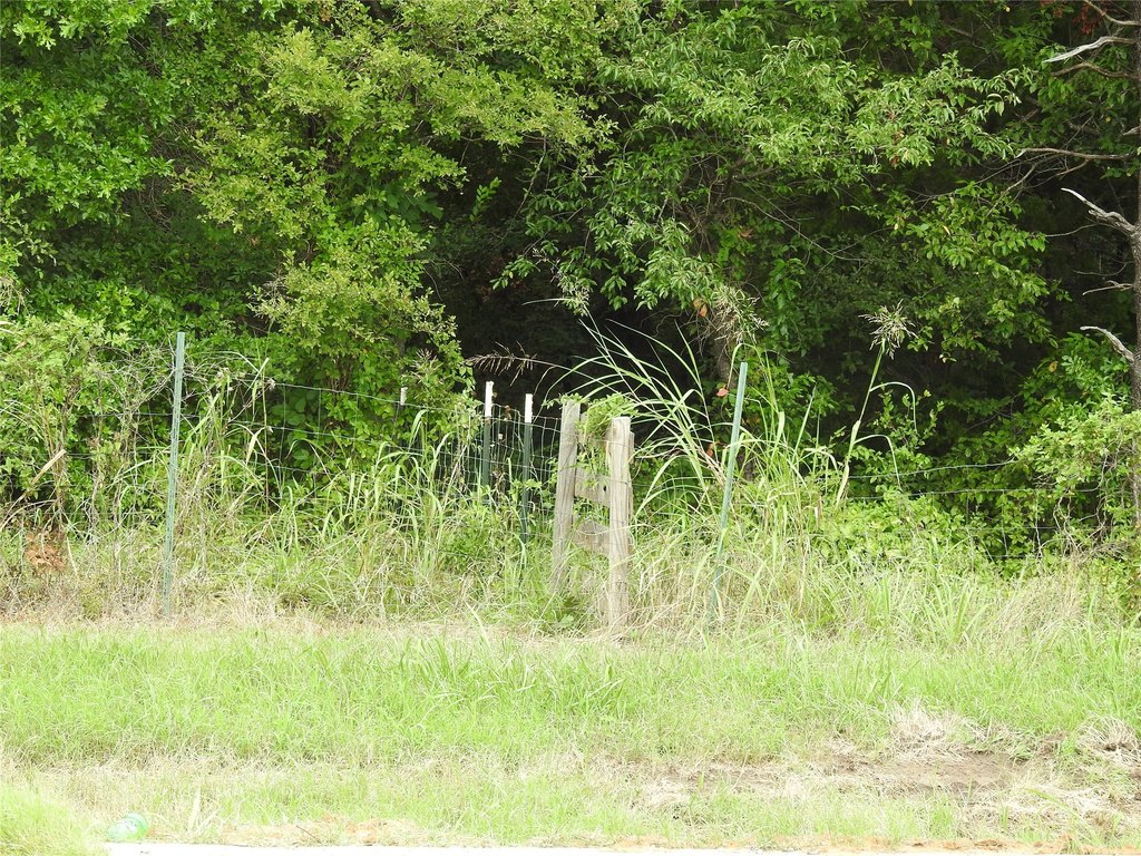 Picture 16
