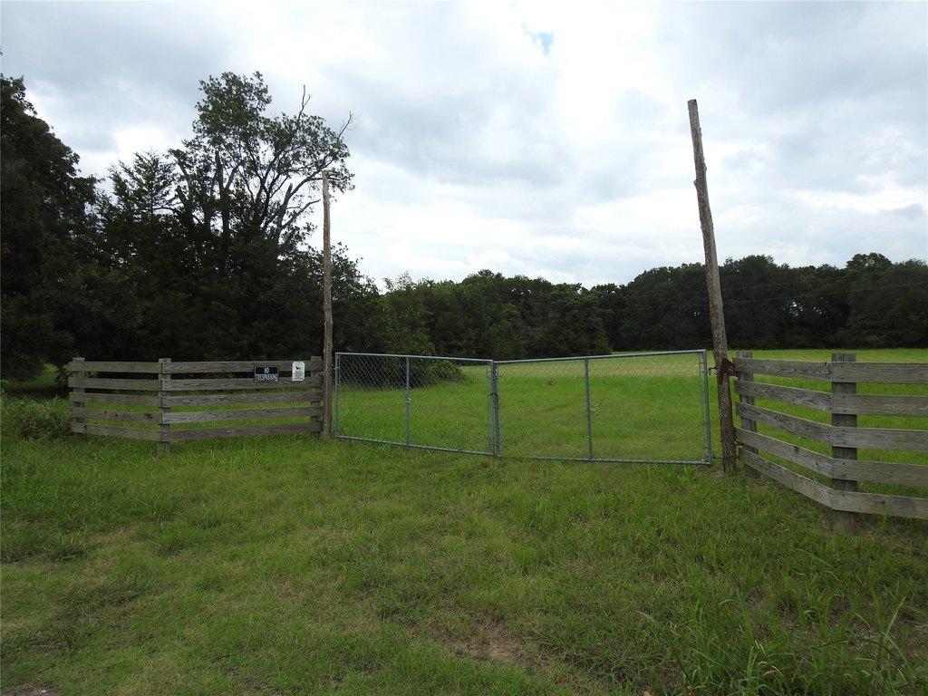 Picture 11