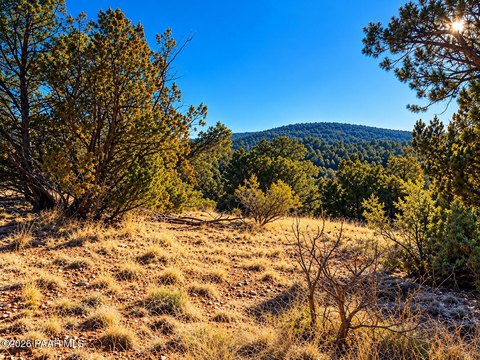 Land with State Land Views