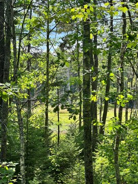Harpswell, ME