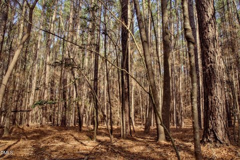 LAND - Chapel Hill, NC