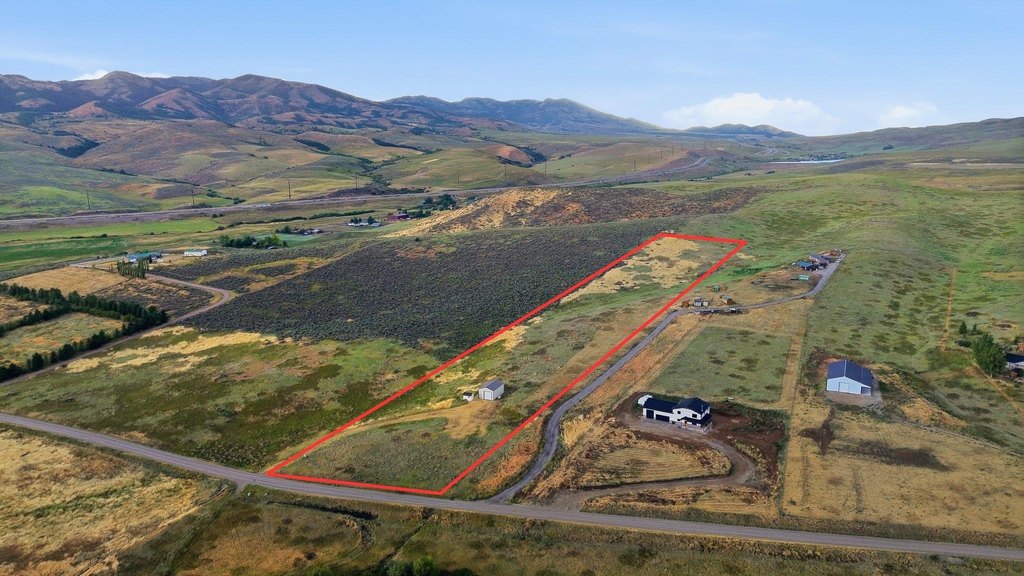Picture 7