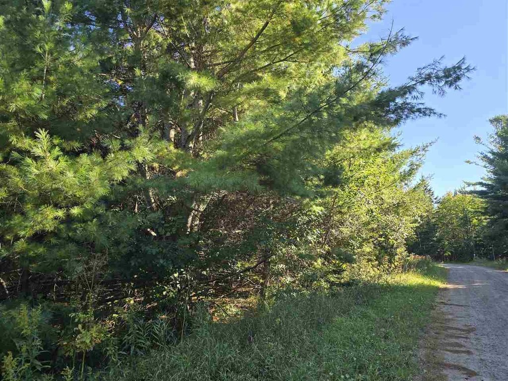 Picture 19