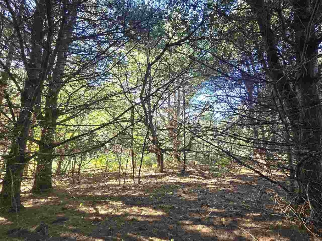 Picture 16