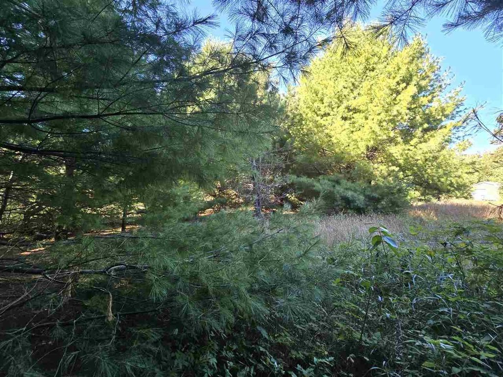 Picture 17