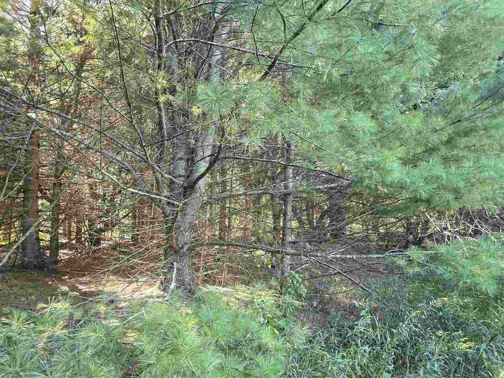 Picture 14