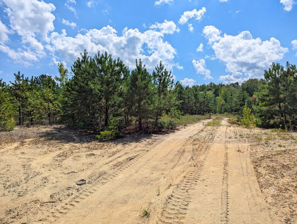 Picture 17