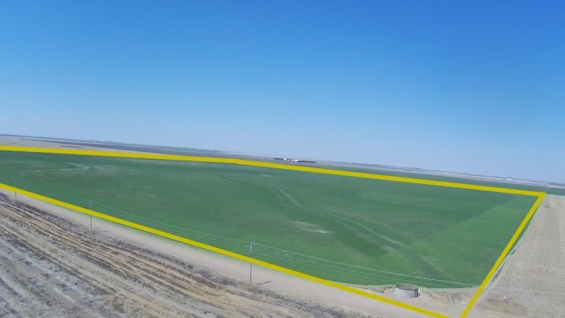 Farmland Quarter Section in Lakin, KS