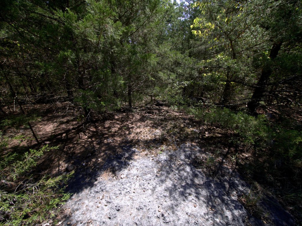 Picture 11