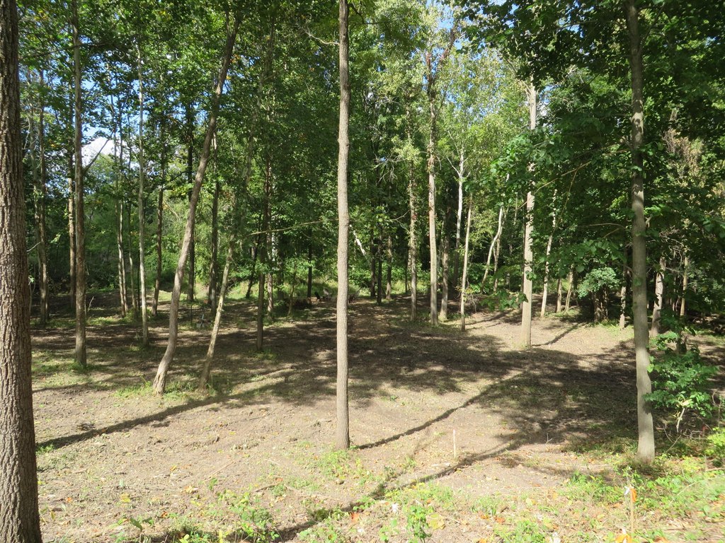 Picture 6