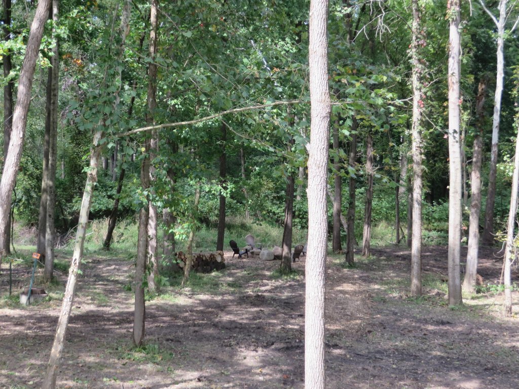 Picture 5