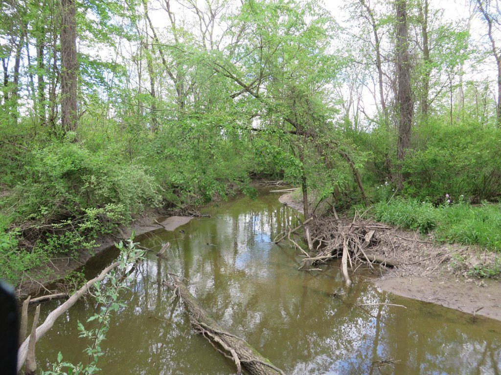 Picture 14