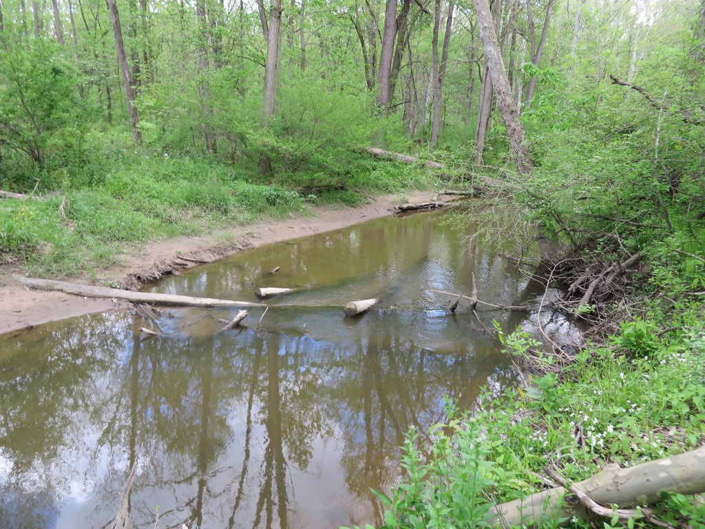 Picture 13