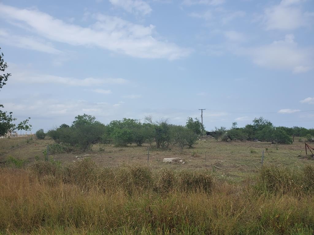 Picture 5