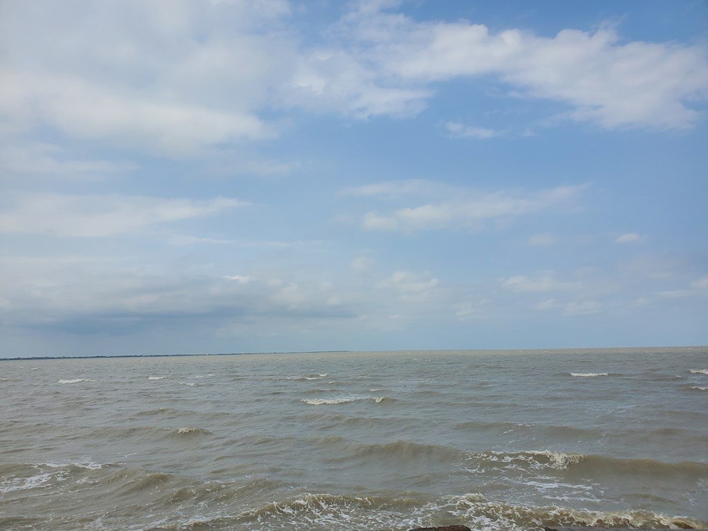 Picture 2