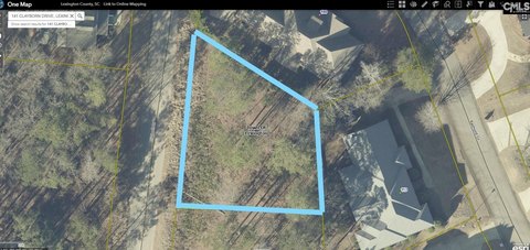 LOTS AND ACREAGE, Lexington, SC