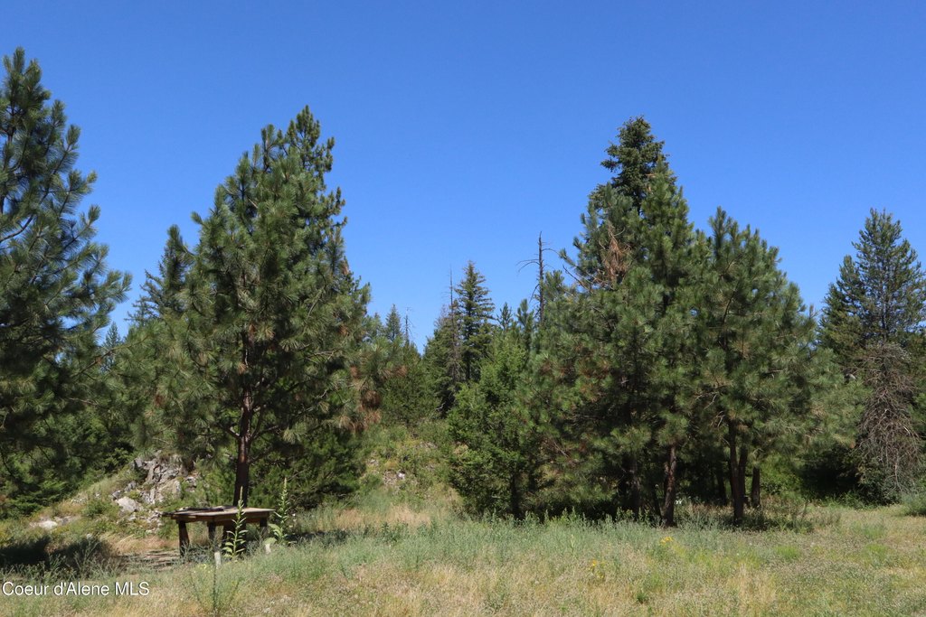 Picture 19