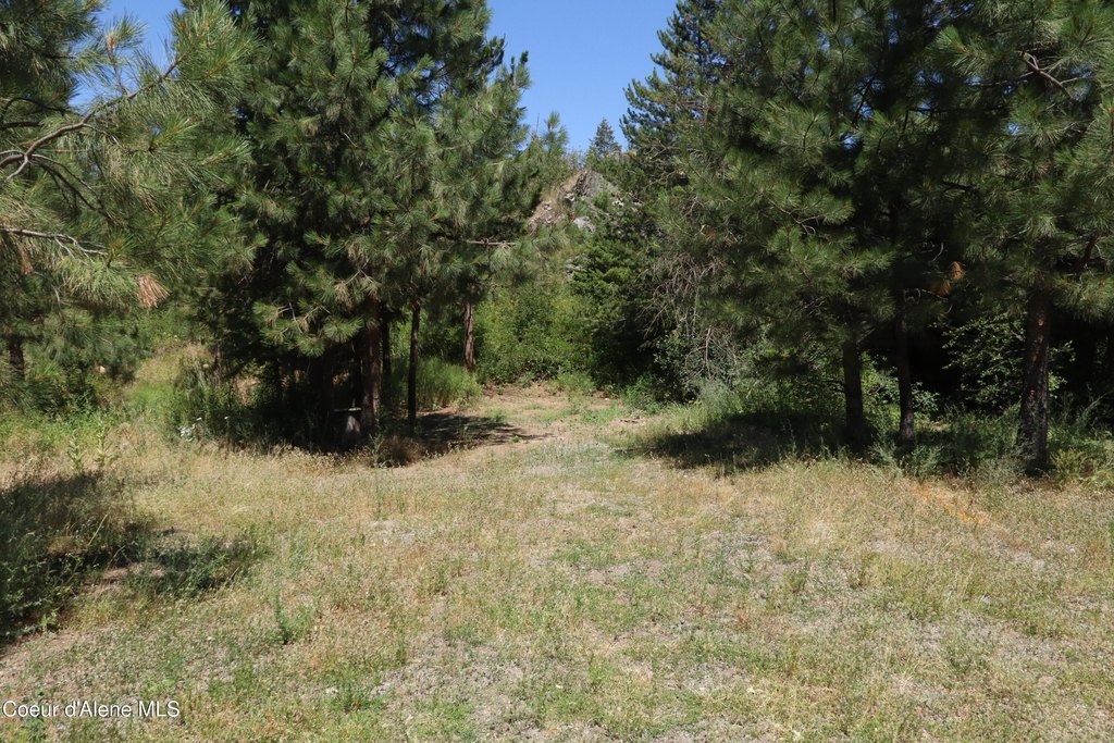 Picture 13