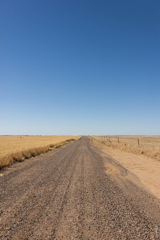 Picture 36