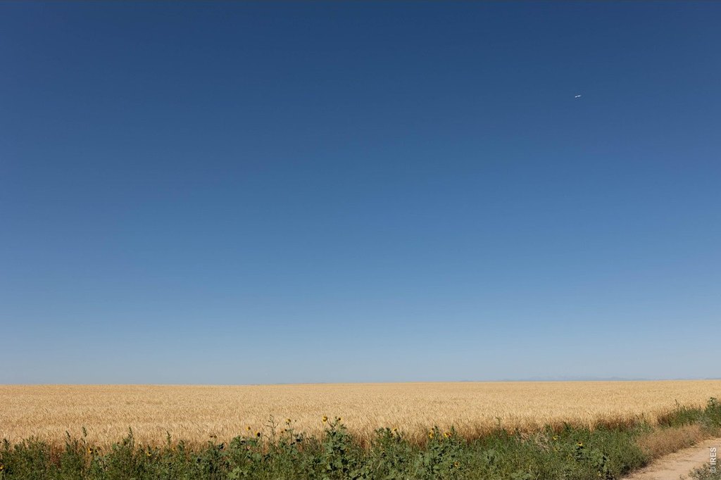Picture 34