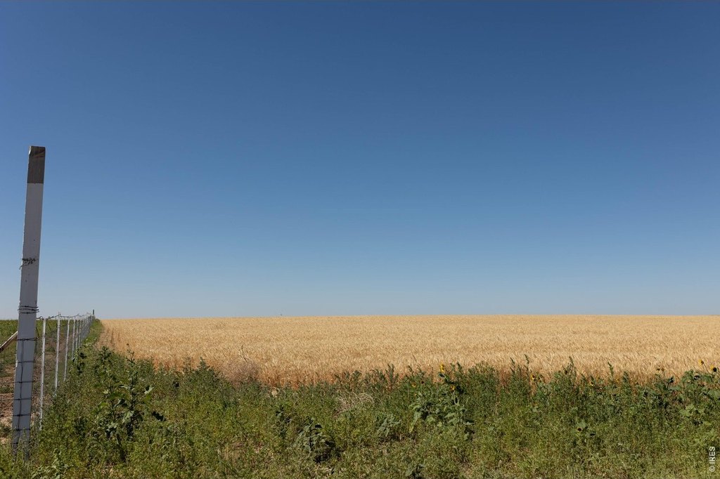 Picture 28