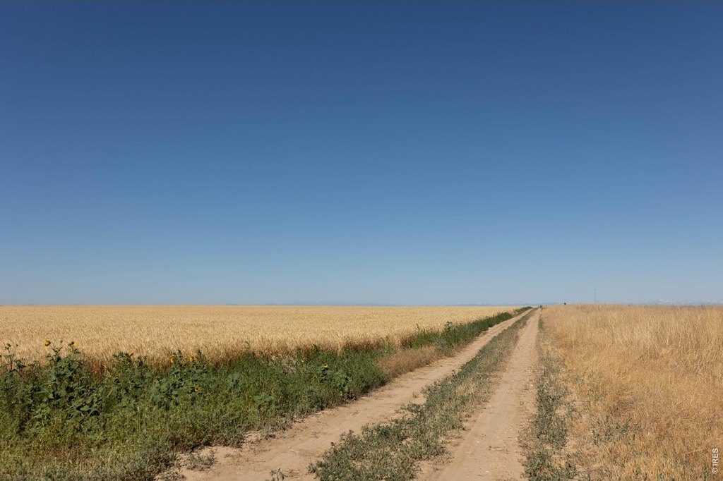 Picture 30