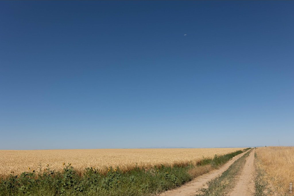 Picture 33