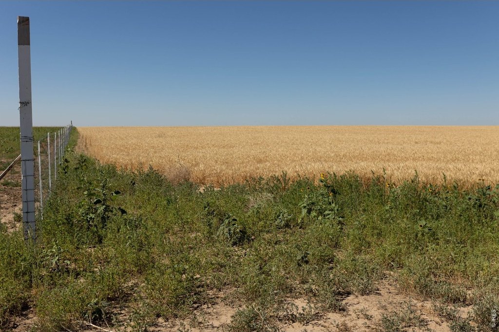 Picture 29