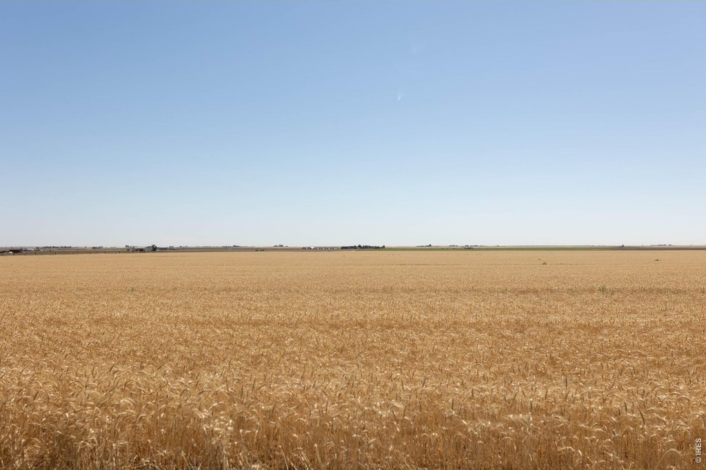 Picture 39