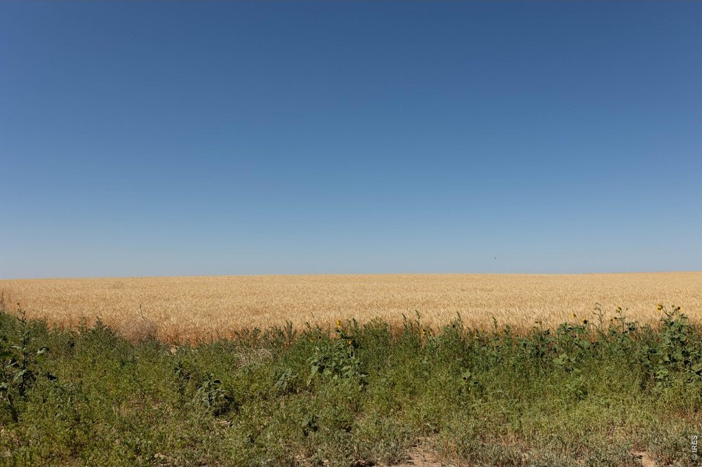 Picture 27