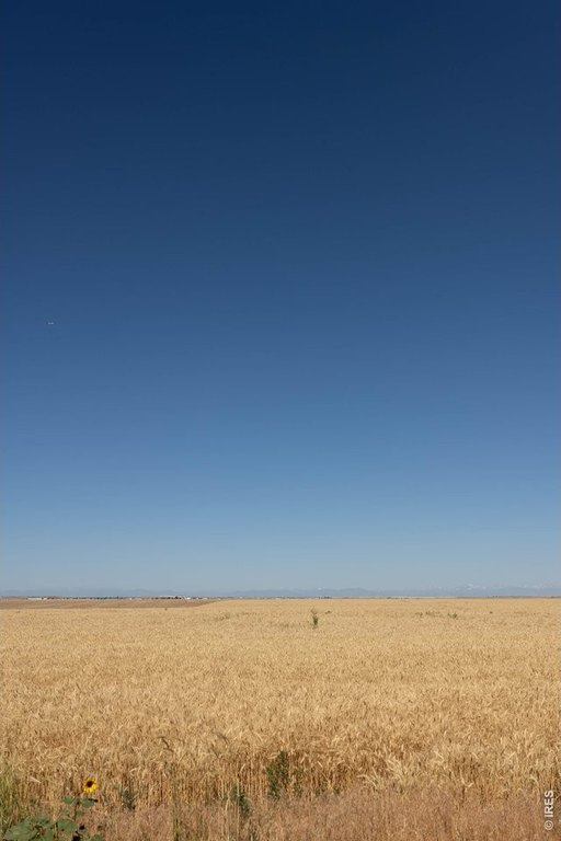 Picture 22
