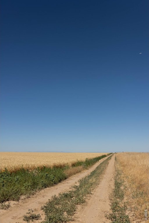 Picture 31