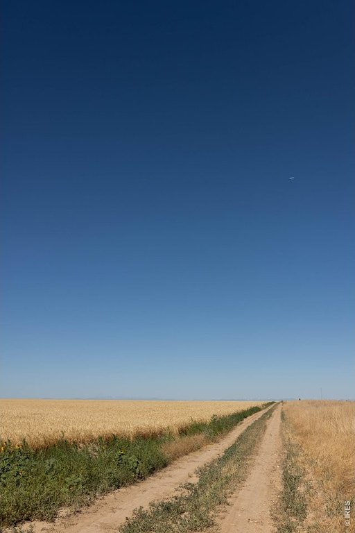 Picture 32