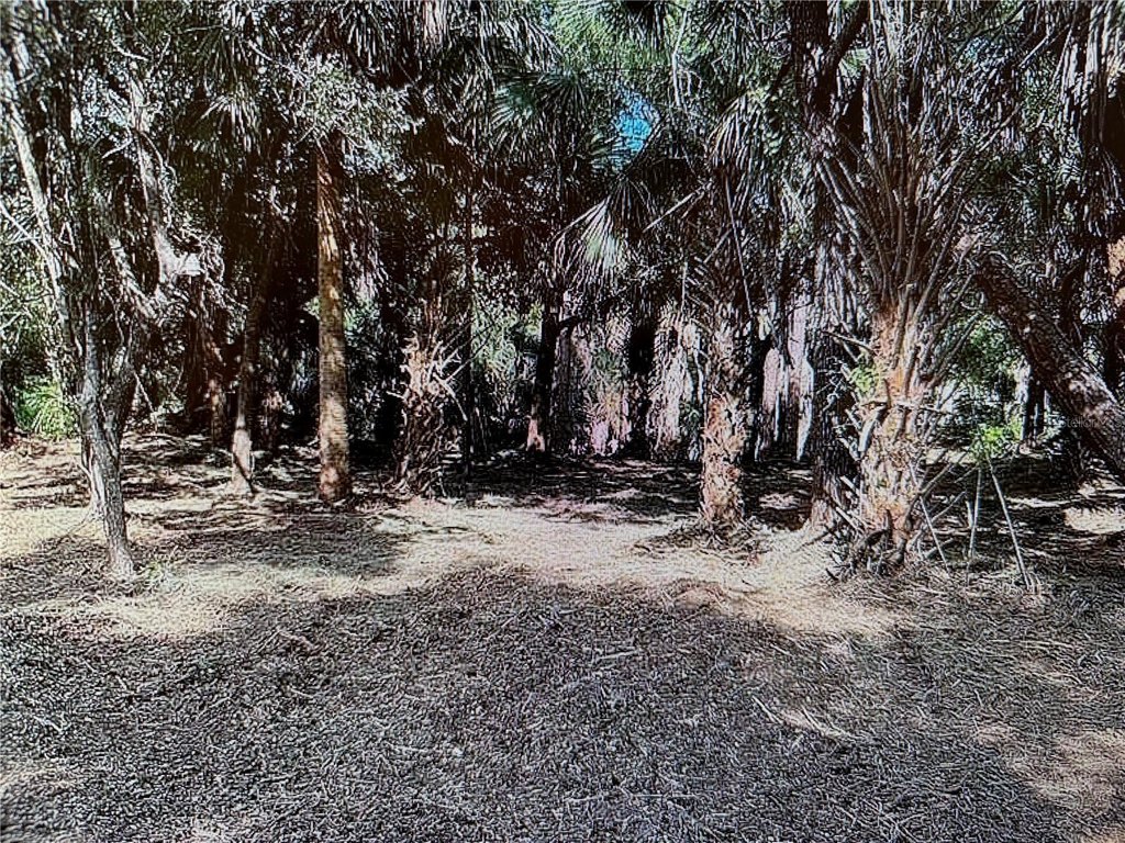 Picture 4